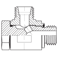 PORTA BSPP, 5059BJ